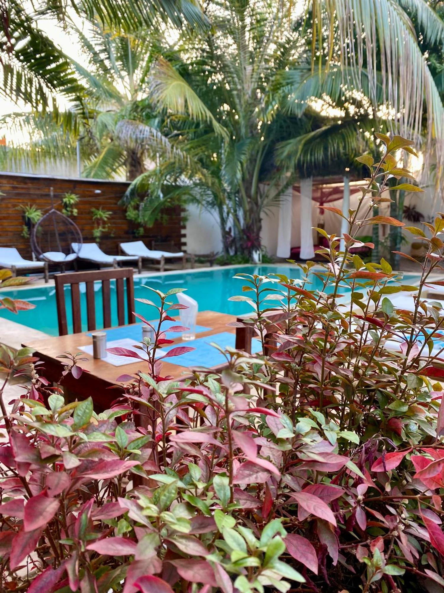 Cezere The Palm Hotel Paje Exterior photo